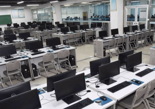 小程序，大帮手 软件技术开发如何赋能现代生活